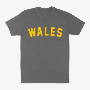 Wales Utah Classic Curve Classic Dad T-Shirt