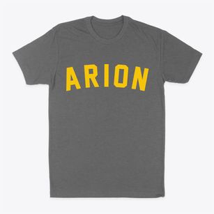 Arion Iowa Classic Curve Classic Dad T-Shirt