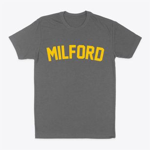 Milford Delaware Classic Curve Classic Dad T-Shirt