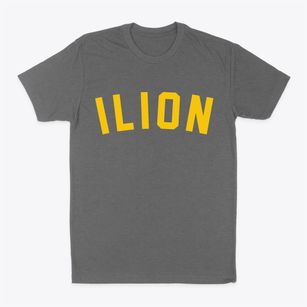 Ilion New York Classic Curve Classic Dad T-Shirt
