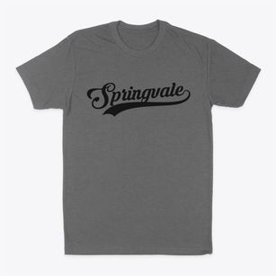 Springvale Wisconsin Vintage Team Classic Dad T-Shirt