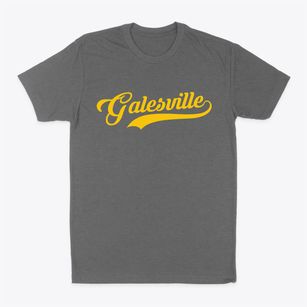 Galesville Wisconsin Vintage Team Classic Dad T-Shirt