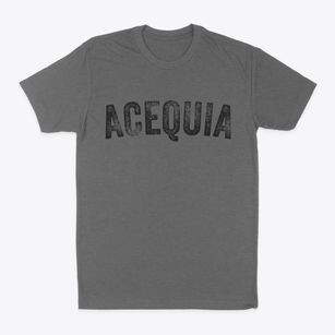 Acequia Idaho Timeless Retro Classic Dad T-Shirt