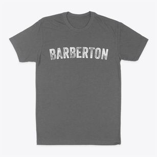 Barberton Ohio Timeless Retro Classic Dad T-Shirt