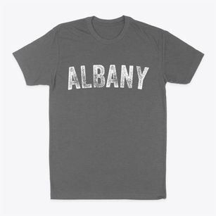 Albany New Hampshire Timeless Retro Classic Dad T-Shirt