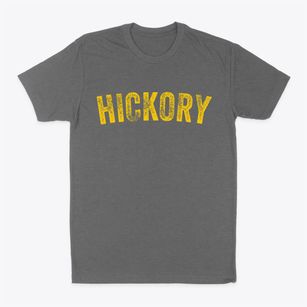Hickory North Carolina Timeless Retro Classic Dad T-Shirt