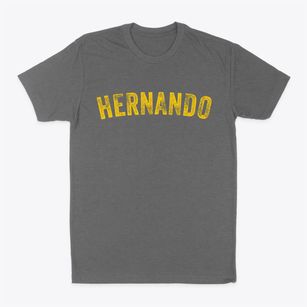 Hernando Mississippi Timeless Retro Classic Dad T-Shirt