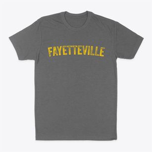 Fayetteville Arkansas Timeless Retro Classic Dad T-Shirt