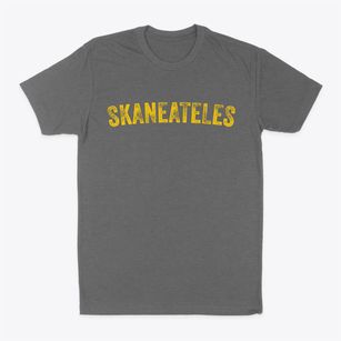 Skaneateles New York Timeless Retro Classic Dad T-Shirt