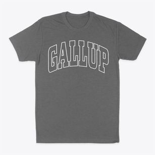 Gallup New Mexico Trendy Block Classic Dad T-Shirt