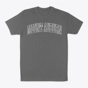 Mount Auburn Illinois Trendy Block Classic Dad T-Shirt