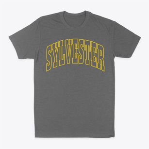 Sylvester Wisconsin Trendy Block Classic Dad T-Shirt