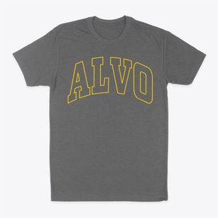 Alvo Nebraska Trendy Block Classic Dad T-Shirt