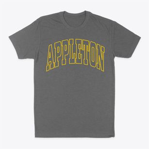 Appleton Wisconsin Trendy Block Classic Dad T-Shirt