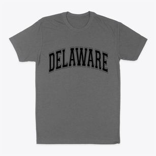 Delaware New York Varsity Classic Dad T-Shirt