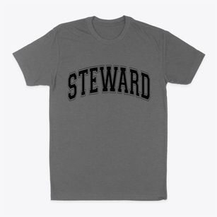 Steward Illinois Varsity Classic Dad T-Shirt