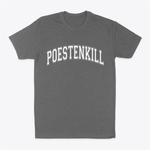 Poestenkill New York Varsity Classic Dad T-Shirt