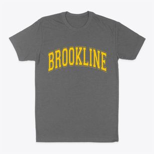 Brookline Massachusetts Varsity Classic Dad T-Shirt
