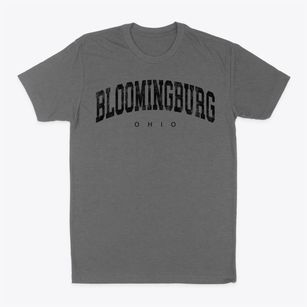 Bloomingburg Ohio Urban Vibe Classic Dad T-Shirt