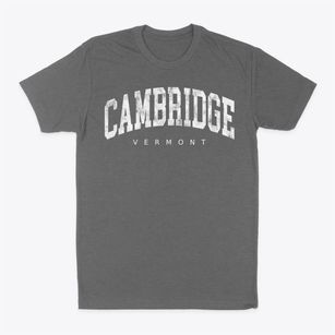 Cambridge Vermont Urban Vibe Classic Dad T-Shirt