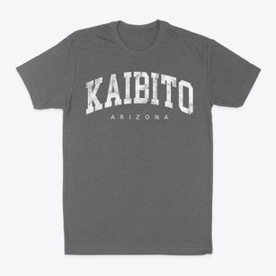 Kaibito Arizona Urban Vibe Classic Dad T-Shirt