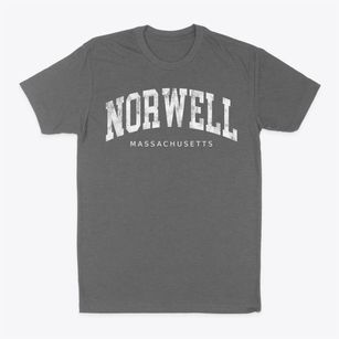 Norwell Massachusetts Urban Vibe Classic Dad T-Shirt