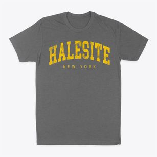 Halesite New York Urban Vibe Classic Dad T-Shirt