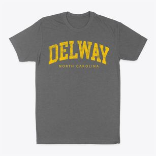 Delway North Carolina Urban Vibe Classic Dad T-Shirt
