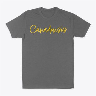 Canadensis Pennsylvania Freestyle Classic Dad T-Shirt