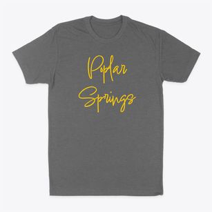 Poplar Springs Georgia Freestyle Classic Dad T-Shirt