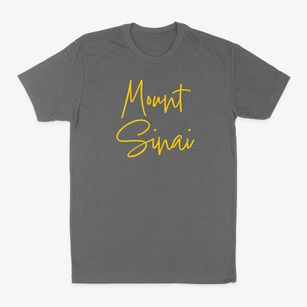 Mount Sinai New York Freestyle Classic Dad T-Shirt