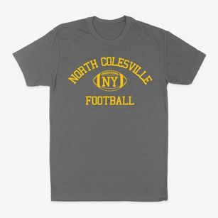 North Colesville New York Football Classic Dad T-Shirt