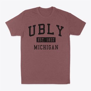 Ubly Michigan Classic Established Classic Dad T-Shirt