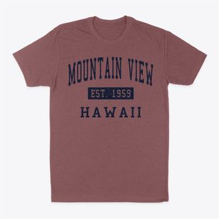 Mountain View Hawaii Classic Established Classic Dad T-Shirt