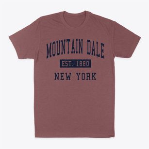 Mountain Dale New York Classic Established Classic Dad T-Shirt