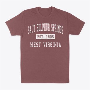 Salt Sulphur Springs West Virginia Classic Established Classic Dad T-Shirt