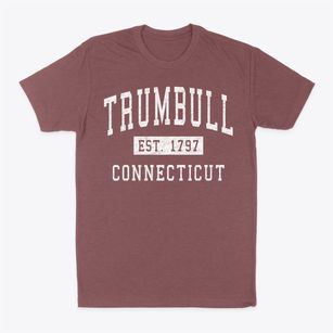Trumbull Connecticut Classic Established Classic Dad T-Shirt