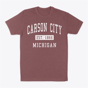 Carson City Michigan Classic Established Classic Dad T-Shirt