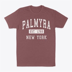 Palmyra New York Classic Established Classic Dad T-Shirt