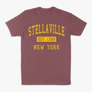Stellaville New York Classic Established Classic Dad T-Shirt