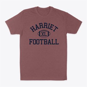 Harriet Tubman Village Charter School Classic Football Classic Dad T-Shirt