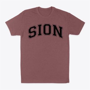 Notre Dame De Sion Prep School Varsity Arch Classic Dad T-Shirt