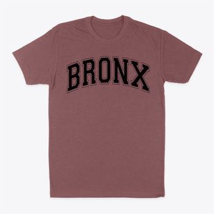 Bronx International Academy Varsity Arch Classic Dad T-Shirt
