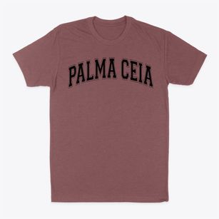 Palma Ceia Elementary School Varsity Arch Classic Dad T-Shirt