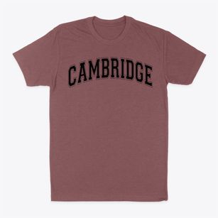 Cambridge Academy Varsity Arch Classic Dad T-Shirt