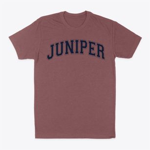 Juniper Intermediate School Varsity Arch Classic Dad T-Shirt