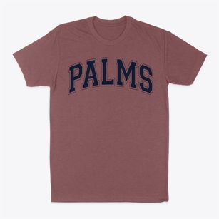 Palms Elementary School Varsity Arch Classic Dad T-Shirt