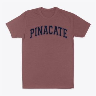 Pinacate Middle School Varsity Arch Classic Dad T-Shirt