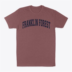 Franklin Forest Elementary School Varsity Arch Classic Dad T-Shirt