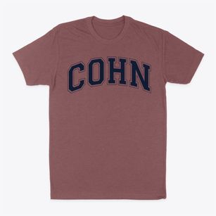 Cohn Elementary School Varsity Arch Classic Dad T-Shirt